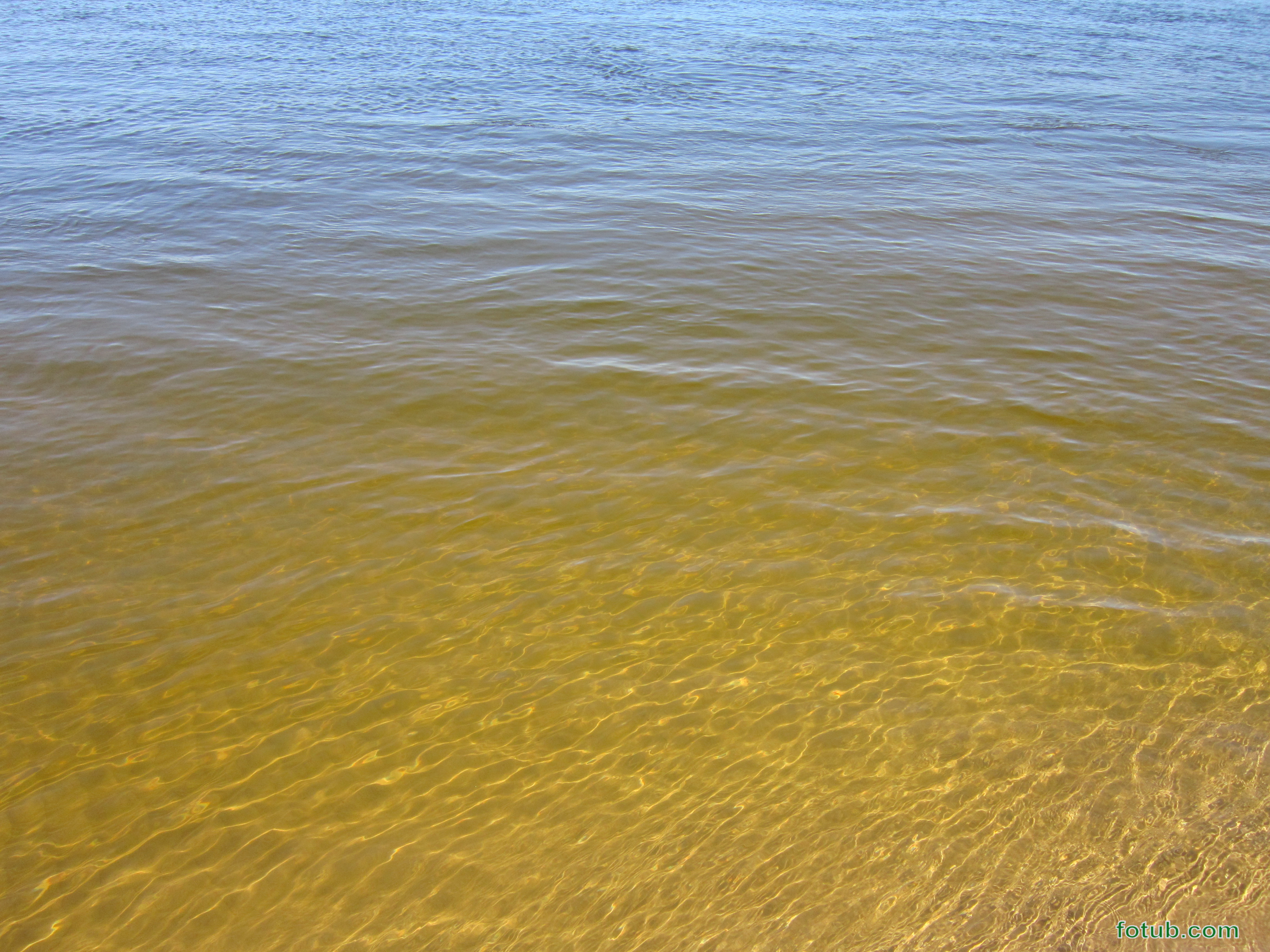 Река чобе. Почему озеро коричневое. Таир база отдыха марий эл. Lago коричневый. Почему озеро коричневое.