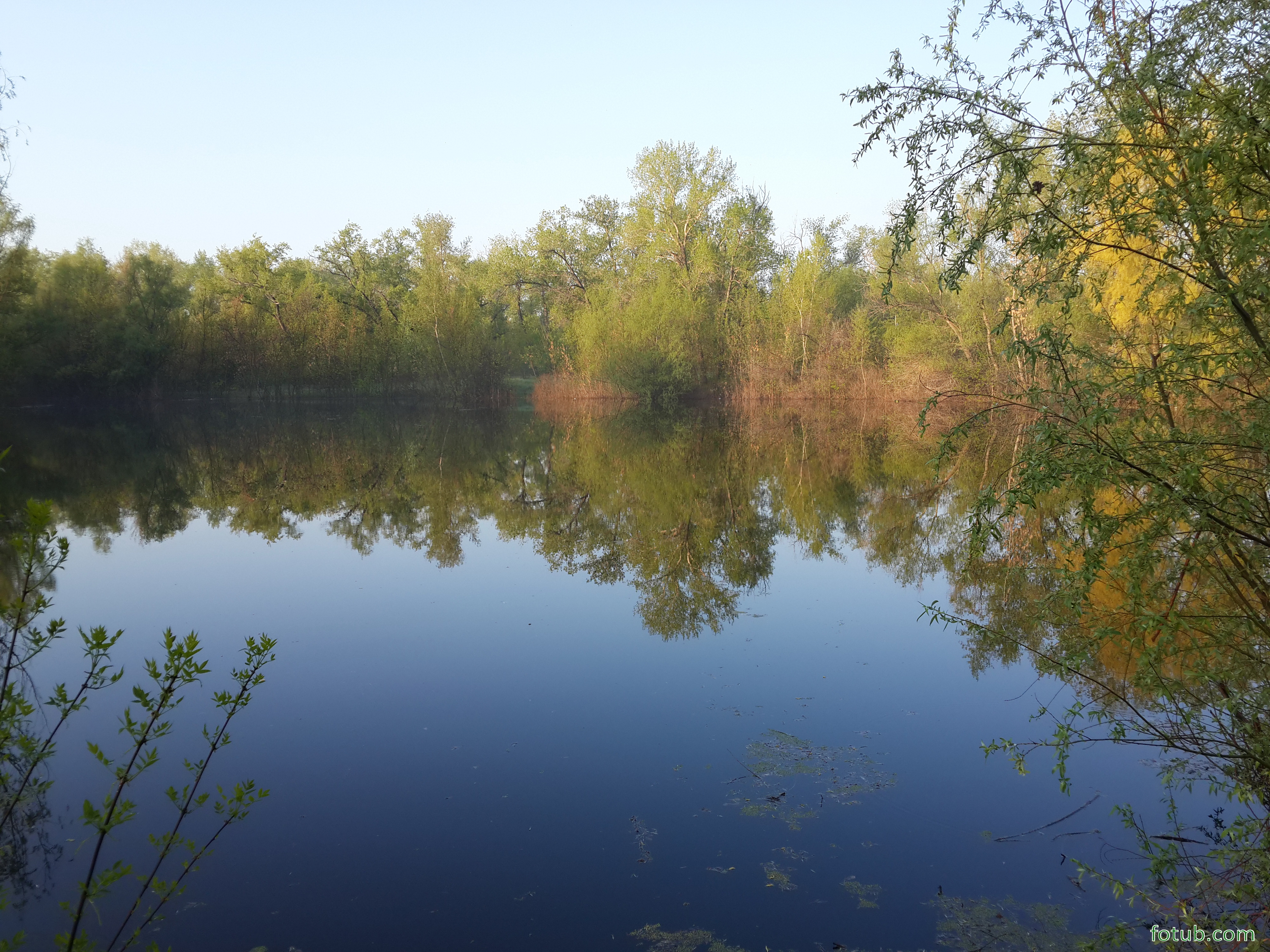 Водоеме 2. Пруд в начало мая. Серебка серебряный пруд. 2ой кордон. Раритет серебряных прудов.