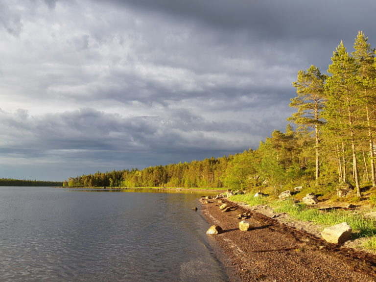 Море в карелии фото